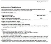 Canon C100 black balance.jpg