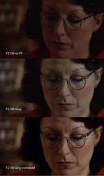 HeadFS100.jpg HeadFS100.jpg