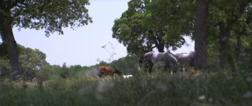 anamorphic12.jpg anamorphic12.jpg