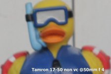 Crop-A-Tamron-f-4.jpg