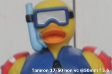 Crop-A-Tamron-f-5.6.jpg