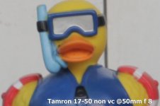 Crop-A-Tamron-f-8.jpg