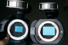 sonyvgdsc07813.jpg sonyvgdsc07813.jpg