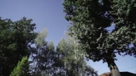 vlcsnap-2012-09-12-12h17m38s186.jpg