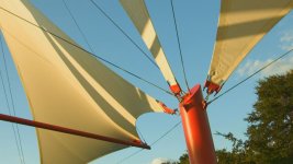 canopy1.jpg canopy1.jpg
