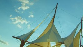 canopy2.jpg canopy2.jpg