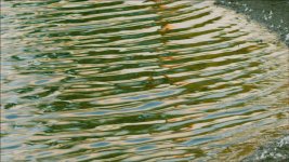 ripples.jpg ripples.jpg