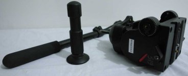 519Head02.jpg