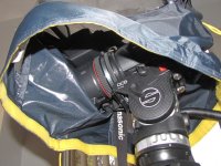 IMG_3949.jpg IMG_3949.jpg