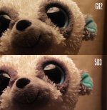 gh2-vs-5d3-sharpness.jpg gh2-vs-5d3-sharpness.jpg