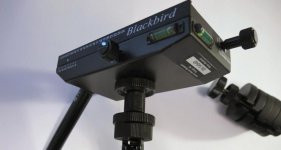 Blackbird5.jpg