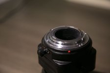 3I6B2331.jpg