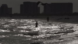 beach still 1.jpg beach still 1.jpg
