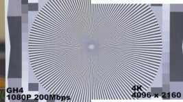 Moire Test.Still001.jpg Moire Test.Still001.jpg
