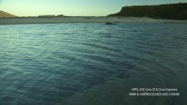 DVXuser-HPX250-Creek1.jpg