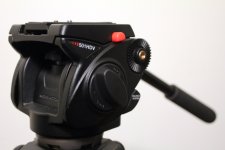 501hdv_1.jpg
