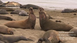 DVXuser-WildlifeFocus-ES2.jpg
