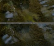 Ripple 720p50.jpg Ripple 720p50.jpg