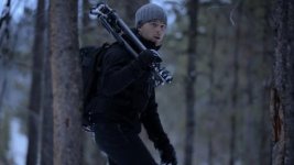 Forest.jpg