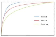 c100 gamma correction.jpg