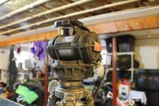IMG_3942.jpg IMG_3942.jpg
