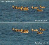 _wsb_532x491_resolve+10+fix+ducks4.jpg _wsb_532x491_resolve+10+fix+ducks4.jpg