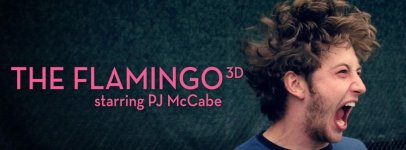 the_flamingo_3d_fb.jpg