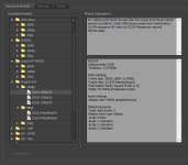 presets.JPG
