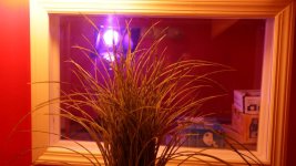 IMG_1468.jpg