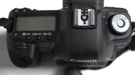 5D top.jpg 5D top.jpg