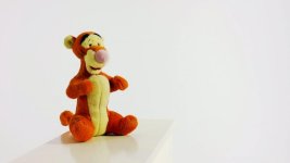 TiggerVideoGradedColorista01.jpg TiggerVideoGradedColorista01.jpg