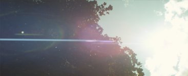 sun.jpg
