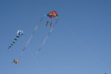 _DSC0361.jpg