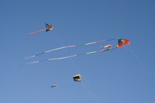 _DSC0386.jpg