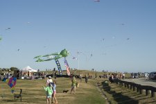 _DSC0381.jpg