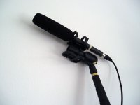 mic.jpg