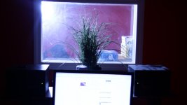 IMG_1472.jpg