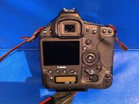 Canon 1DX back 693.jpg