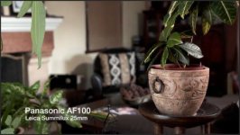 AF100 Summilux 25.jpg