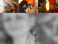 canna.jpg canna.jpg