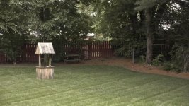 backyard_10.jpg