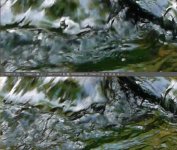 Wave GH2vsFM2-200.jpg