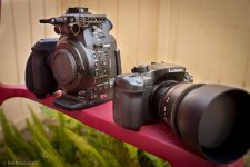 GH4 and C100.jpg