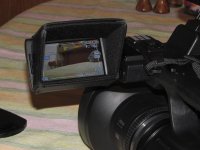 IMG_3963.jpg