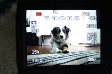 IMG_0921.JPG