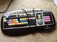 IMG_0247.jpg