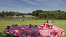 goodbook picnic.jpg goodbook picnic.jpg