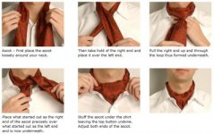 perfect-alternative-ascot.jpg perfect-alternative-ascot.jpg