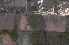 Custom Profile Ungraded.jpg Custom Profile Ungraded.jpg