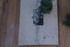 IMG_3255.jpg